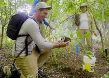 To my son, born in the climate crisis: These helpers changed the fate of the titi