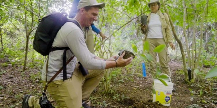 To my son, born in the climate crisis: These helpers changed the fate of the titi