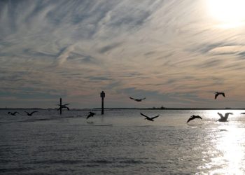 Scientists are sounding the alarm about oceans, but Biden’s budget would slash research data