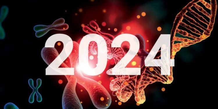 Biotech Market Update: Q1 2024 in Review