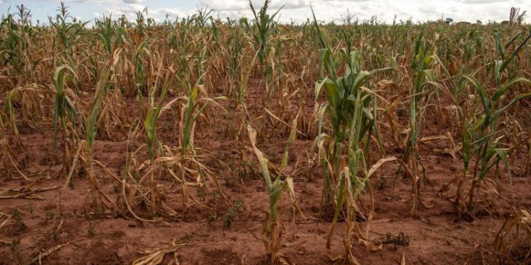 Tens of millions facing hunger and water shortages as extreme drought and floods sweep southern Africa