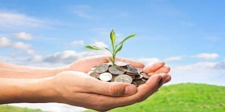 How to Invest in Phosphate (Updated 2024)