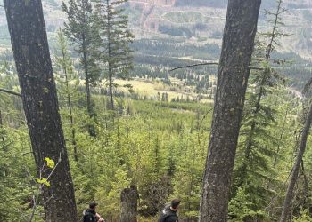 Hunter hospitalized with ‘significant injuries’ after grizzly bear attack in British Columbia