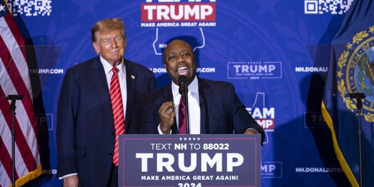 Senator’s fundraising skill could be winning ticket for Trump’s veepstakes