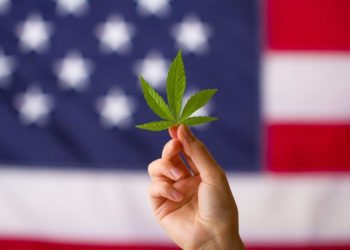 Cannabis Round-Up: US DEA Proposes Rescheduling, Canada Ignores Company Tax Concerns