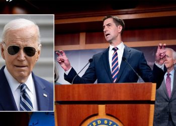 Republicans accuse Biden of putting ‘more pressure on Israel’ than Hamas amid college riots