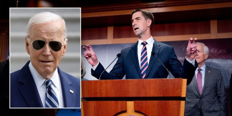 ‘No choice’ but to impeach Biden over delayed Israel aid, GOP senator says