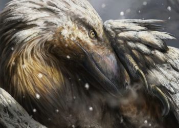The evolutionary twist that could have helped dinosaurs rule Earth