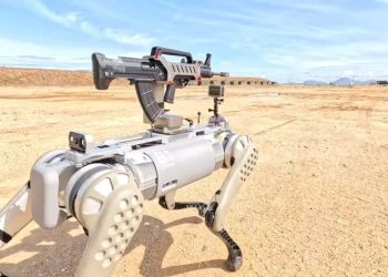 China’s military shows off rifle-toting robot dogs