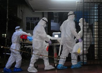 Nipah virus death puts health officials on alert in southern India