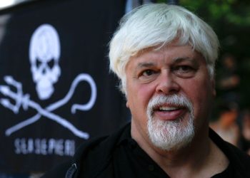 Veteran anti-whaling activist Paul Watson could be extradited to Japan after arrest in Greenland, his foundation says
