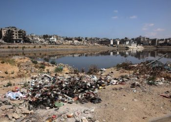 Polio detected in Gaza sewage water, threatening new health disaster