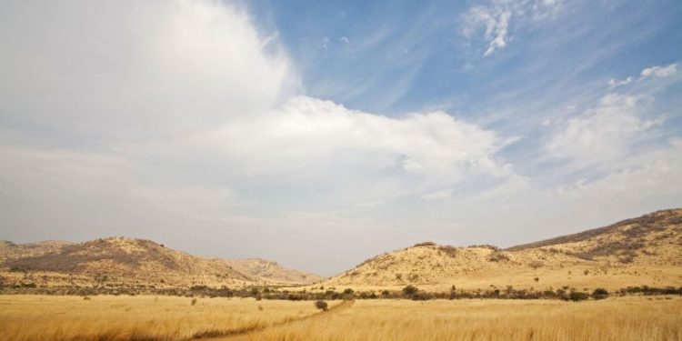 Spanish tourist killed by elephants in South Africa while taking photo