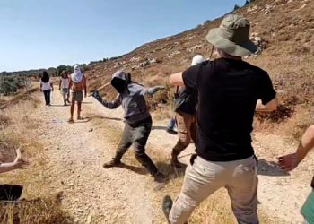Israeli settlers attack foreign activists and Palestinian farmers in West Bank