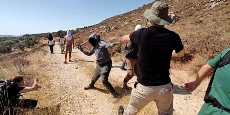 Israeli settlers attack foreign activists and Palestinian farmers in West Bank