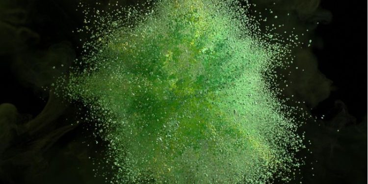 Solar-powered boats are silently sailing through Ecuador’s Amazon rainforest