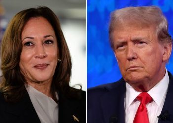 ‘Never Trumpers’ coalesce behind Dem ticket in Republicans for Harris campaign