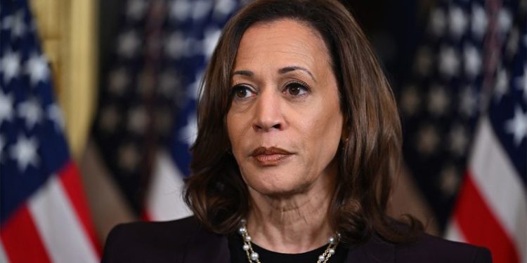 Harris’ push for electric vehicles suffers another blow after automaker backtracks: ‘Unwanted and unworkable’