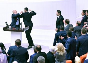 Fistfight breaks out in Turkish parliament over debate on jailed opposition politician