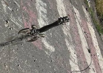 Kyiv investigates alleged Russian execution of Ukrainian soldier with sword inscribed ‘for Kursk’