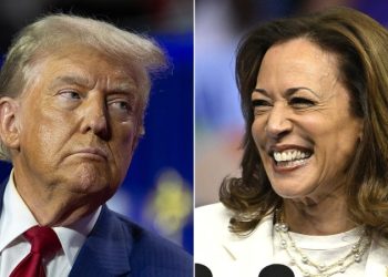 DAVID MARCUS: Kamala Harris’ newest vibe is fading momentum