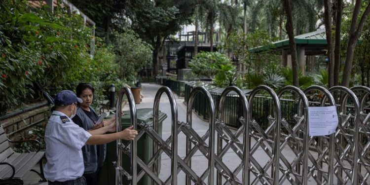 Monkeys killed by soil infection at Hong Kong zoo, officials say