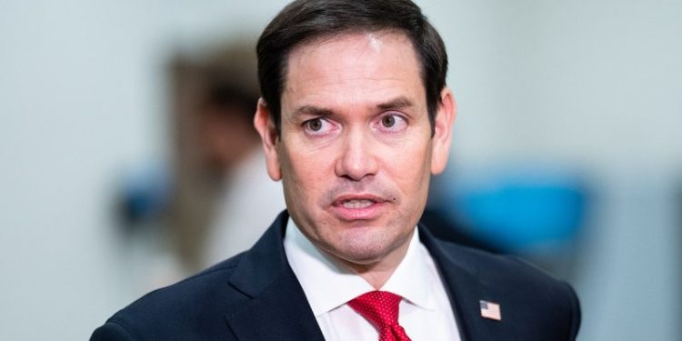Rubio fires back at Trump critics accusing former president of being ‘fascist’