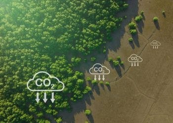 IEF Applauds UK’s £21.7 Billion Carbon Capture Investment