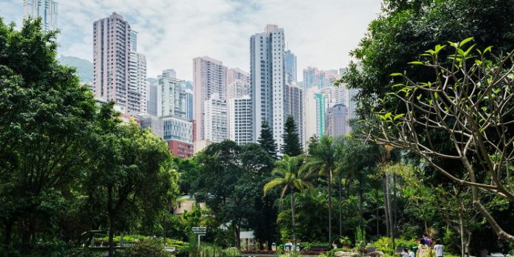 Eight monkeys found dead at Hong Kong zoo, government says