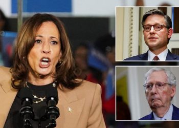 Harris breaks silence after GOP leaders say anti-Trump rhetoric ‘risks inviting’ another assassination attempt