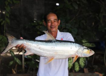 Scientists feared this huge ‘ghost’ fish was extinct. It was just seen after almost 20 years
