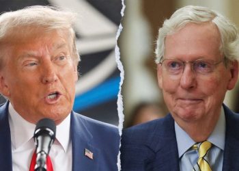 ‘Despicable human being’: McConnell’s 2020 thoughts on ‘sleazeball’ Trump revealed in new book
