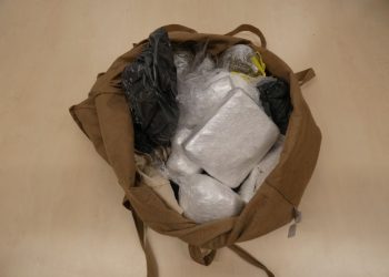 German police bust drug ring that delivered pizza – with a side of cocaine