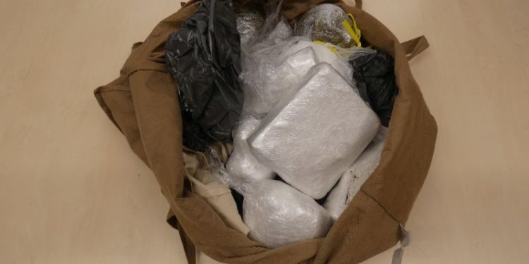 German police bust drug ring that delivered pizza – with a side of cocaine