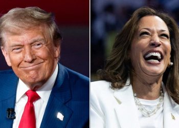 Battleground Dem warns traditional voting bloc being ‘split’ in 2024