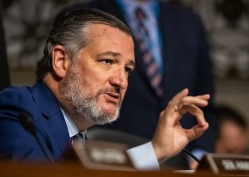 Cruz says UN draft resolution against Israel is aimed at undermining incoming Trump admin, GOP Congress