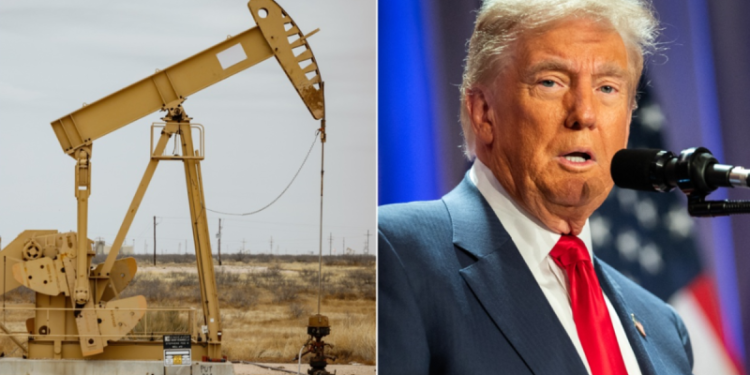 Expert touts Trump’s energy sector nominations, outlines hopes for administration agenda to spark energy boom