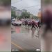 Car crashes into people outside primary school in central China: state media
