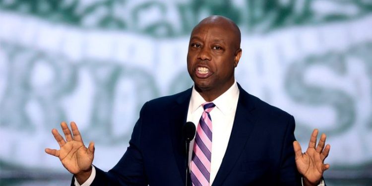 Trump ally Sen. Tim Scott’s new mission to help incoming president: ‘increase the majority’