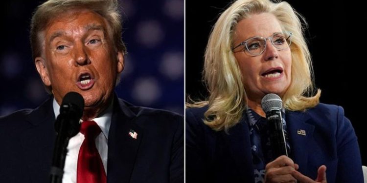 Trump clarifies he meant Cheney wouldn’t have ‘guts’ to fight a war with rifle comment after Dem backlash