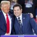 Trump nominates Marco Rubio to serve as Secretary of State