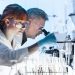 Top 5 Life Science ETFs in 2024