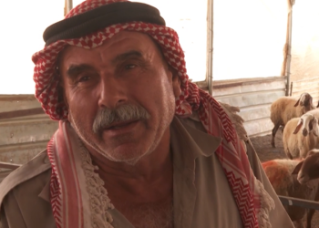 ‘They came and demolished everything’: Palestinians fear more evictions in the West Bank under Trump