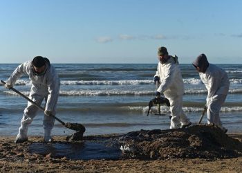 ‘Ordinary people with shovels’: Volunteers cleaning Black Sea oil spill ask Putin for help