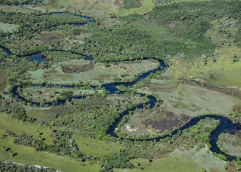 Overlooked grasslands must be protected, says WWF expert