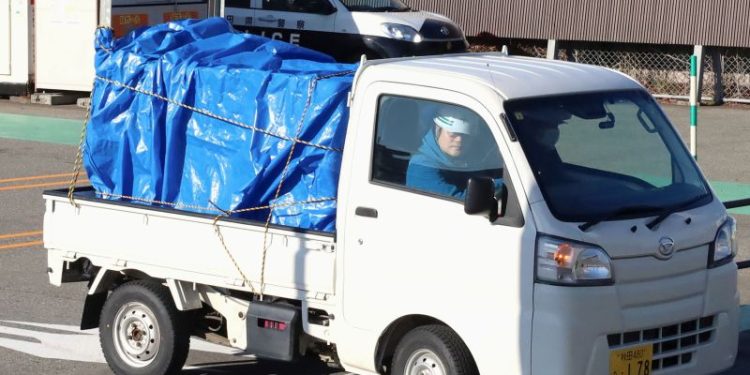 Bear attacks worker, ransacks meat section in Japan supermarket rampage