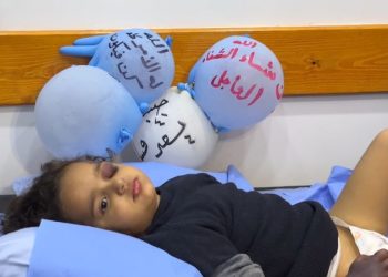 This toddler has days to live, doctors warn. But Israel has paused her medical evacuation from Gaza