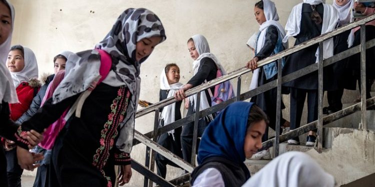 Taliban deputy urges leader to lift education bans on Afghan women and girls