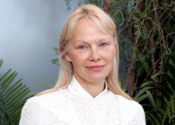 Pamela Anderson says she was confronted on plane by angry passenger who thought she was someone else