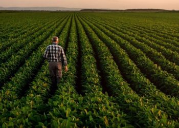 Agriculture Market Forecast: Top Trends for Agriculture in 2025